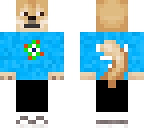 dog moderno