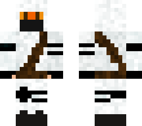 arctic assasin