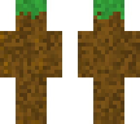 dirt camo skin!