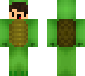 i love turtles