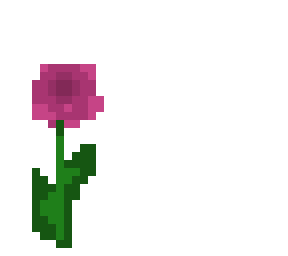 purple tulip -contest entry