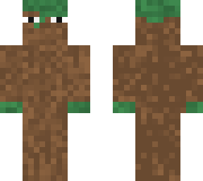 dirt disguise