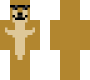 fixed doge