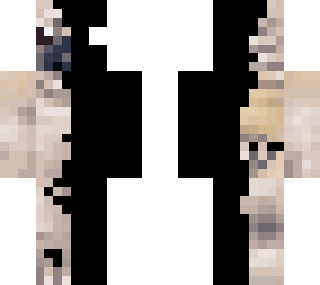 herobrine corrupted pug