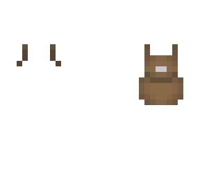 backpack (outer layer)