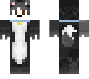 broder collie