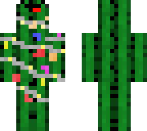 christmas cactus