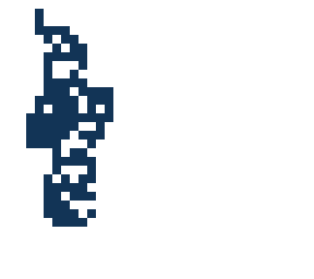test skin