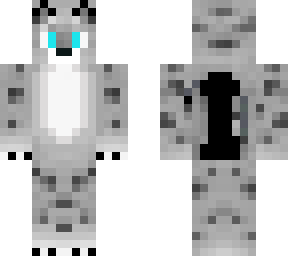 grey white boy cat