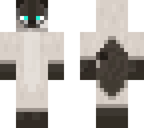 siamese cat 3