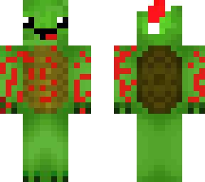 turtle with christmas hat