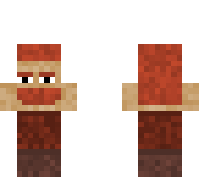 skin