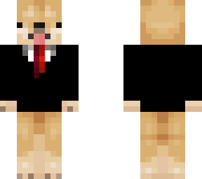 suit dog