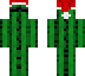 xmas cactus