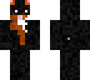 black tourtishell guinea pig