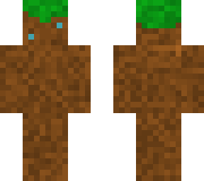 dirt skin