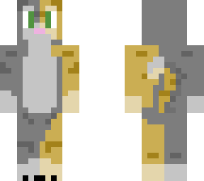 grey golden cat