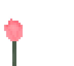 tulip time- lcr