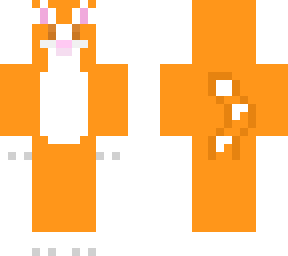 chase the cat