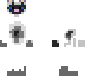siamese cat