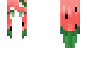 hb - watermelon