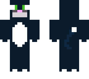 black cat