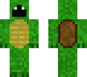 bad boy turtle