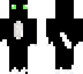 black cat