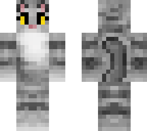 kitty