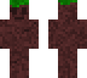 piece of dirt
