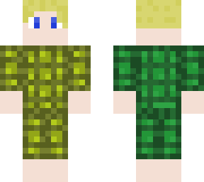 turtle guy