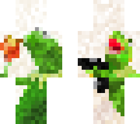 kermit boy