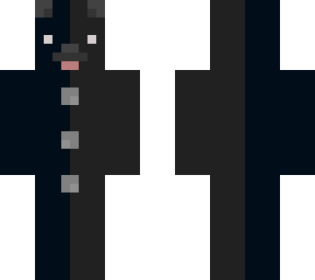 teddy the dog