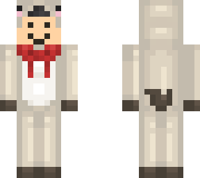 llama boy