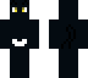 my cat