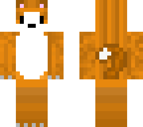 ginger cat