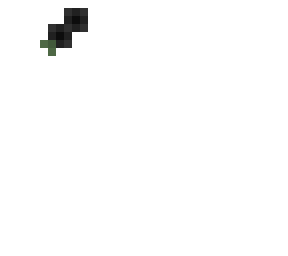 black flowers