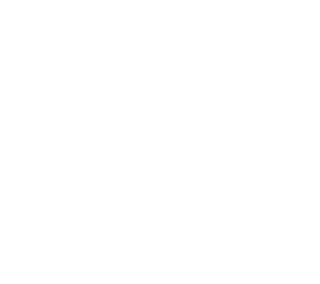 whitman(facial rig support)