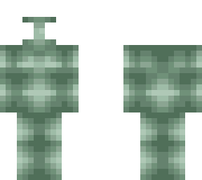 skin template