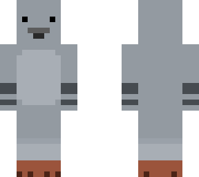 pigeon