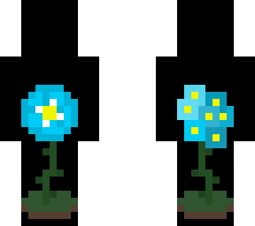 forget me not
