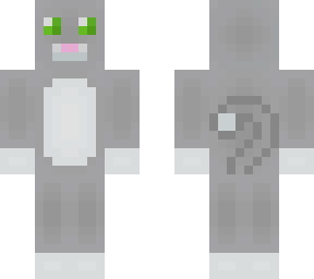 grey cat