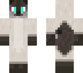 siamese cat 4