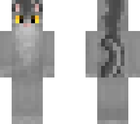 graystripe of thunderclan
