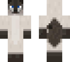 siamese cat 5