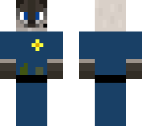 police siamese cat
