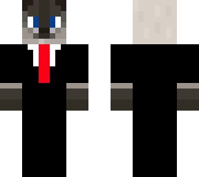 siamese cat in a tuxedo.