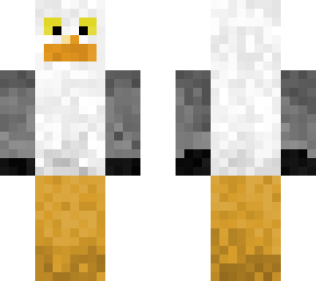 seagull with yellow eyes