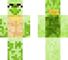 seaturtle schildi