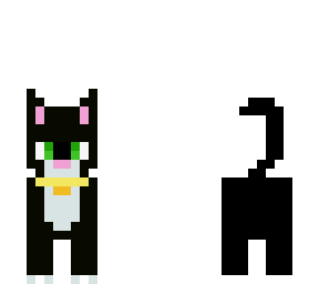 cat with collar edit